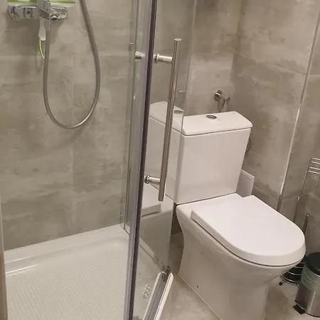 Apartmán Avram Iancu *