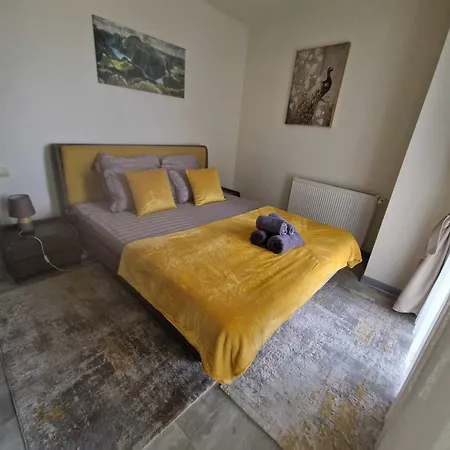 Apartmán Avram Iancu *